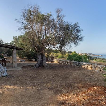 Levante E Libeccio Villette Vista Mare - Marina Di אנדרנו מראה חיצוני תמונה