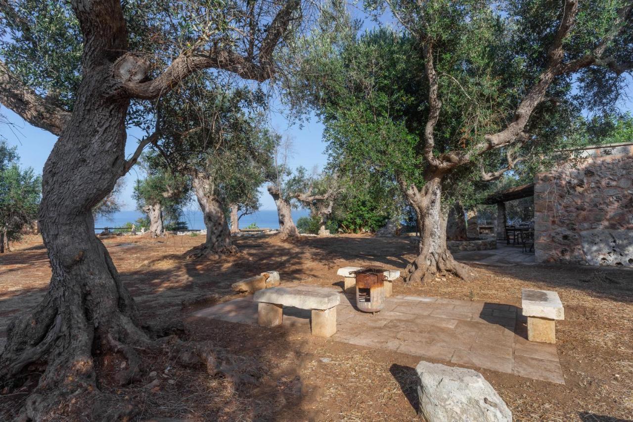 Levante E Libeccio Villette Vista Mare - Marina Di אנדרנו מראה חיצוני תמונה